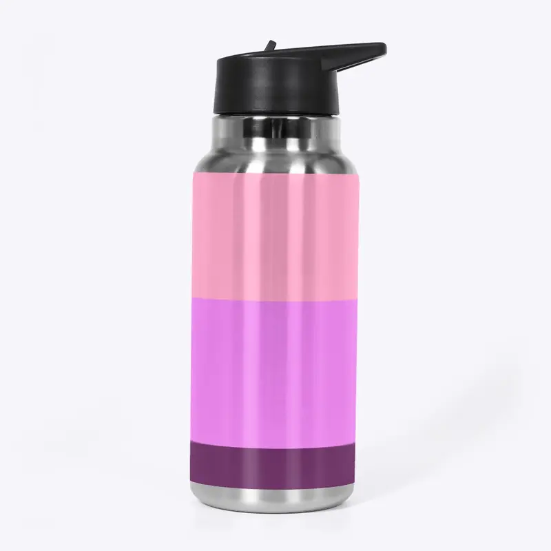 Stainless steel water bottle 